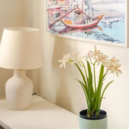 Fontainhas Hidden Gem Apartment Porto Room photo